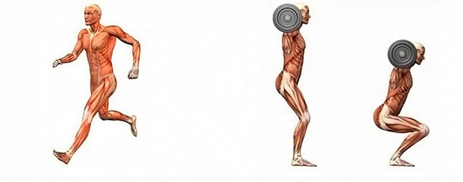 Aerobic and strength exercises to lose weight.